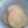 クランパイ's cooksnap of when they made バニラ風味のアイスボックスクッキー.