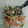 mayumuni's cooksnap of when they made ☆常備菜☆　　五目白和え♪.