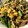 ayapuuuun's cooksnap of when they made 簡単！ｱｽﾊﾟﾗとﾍﾞｰｺﾝの炒め物♪.