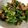 クックDFI5G9☆'s cooksnap of when they made さっぱり♪シシトウのツナポン炒め.