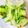 クックL6T92T☆'s cooksnap of when they made 小メロンの漬け物.:*.゜☆.
