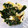 ノンシュガー610's cooksnap of when they made 筍とわかめの酢の物.