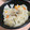 ☆ミノカサゴ☆'s cooksnap of when they made 舞茸と新生姜の炊き込みご飯.