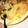 BORDER25's cooksnap of when they made めんつゆで簡単！和風わさびパスタ.