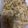 ma___111's cooksnap of when they made こんにゃく麺焼きそば.