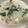 ｍａａ's cooksnap of when they made 簡単！包丁いらずのシーフードチャウダー.
