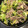 suicaちゃま's cooksnap of when they made 旦那のリクエスト 野菜炒め.