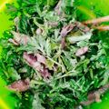 クックるん☆戦隊's cooksnap of when they made 春を告げるホタルイカ！春菊とマヨ辛子和え.