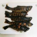 藍の色's cooksnap of when they made 砂糖控えめ☆あまごの甘露煮.
