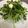 クック2HUDAL☆'s cooksnap of when they made 簡単やみつき豆苗サラダ.