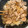 クックTME4KZ☆'s cooksnap of when they made 甘くない！ガツンと豚の生姜焼き.