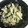 クックT5PT9M☆'s cooksnap of when they made こごみのゴママヨ和え.