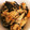 akko_ccino's cooksnap of when they made ひじきときのこの炊き込みごはん.