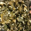 クックBLTENE☆'s cooksnap of when they made しらす生姜入り蕗の葉の佃煮.