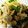 shangkin's cooksnap of when they made （お家で作れる本格中華⑦）★青椒肉絲★.