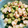 ふみこばあ's cooksnap of when they made はんぺんとキュウリの梅わさび和え.