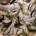 （＊あωや＊）'s cooksnap of when they made モツの炊き込みご飯！.
