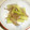 白いぐれーぷ's cooksnap of when they made ✿懐かしの味☆旬のふきの煮物✿.
