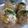 ちばたま's cooksnap of when they made まんまるコロコロ焼きそば？風味のおにぎり.