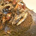 カリフォルニアママ's cooksnap of when they made おせち　カシューナッツ田作り。.