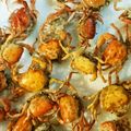 ムキサマ's cooksnap of when they made ☆沢蟹(サワガニ)の唐揚げ(さわがに)☆.