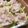 菜つ実☆ミ's cooksnap of when they made 甘くてジューシー！新玉ねぎ焼売.