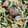甘茶0825's cooksnap of when they made やみつき【鶏ハツともやしのクミン炒め】.