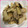 ☆みっちゃむ☆'s cooksnap of when they made 鶏もも肉とエリンギの簡単にんにく炒め.