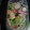 クックL15FBW☆'s cooksnap of when they made レタスとエリンギのベーコン炒め.