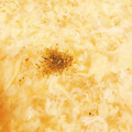 kae24de's cooksnap of when they made 細切りじゃがいもと玉子のとろとろスープ.