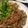 クック4T295E☆'s cooksnap of when they made 【生姜焼き】『簡単』で『極上』所要１０分.