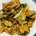 クックY08S17☆'s cooksnap of when they made ★厚揚げとニラとキャベツと豚挽き味噌炒め.