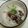 すずマロ's cooksnap of when they made ホタルイカと新玉ねぎのさっぱりマリネ.