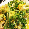のんのんノンタロス's cooksnap of when they made 豆苗と丸天の卵とじ.