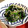 ᕱ⑅ᕱもざみ's cooksnap of when they made えのきとほうれん草のわさび風味のおひたし.