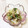 ぴよりこ's cooksnap of when they made 白菜とツナ の簡単サラダ.