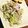mami♪123's cooksnap of when they made レンジで簡単『キャベツの胡麻和え』.