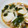 max4995's cooksnap of when they made 簡単♫ベビーホタテとワカメの中華和え.