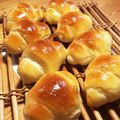 まりねぇ's cooksnap of when they made やわらか♪バターロール.