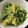 にゃむ姉's cooksnap of when they made 水菜とツボ漬けのおひたし.