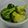 クックBNQ5PD☆'s cooksnap of when they made 簡単！ブロッコリーのゆで方.