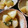 りゅんぽりー's cooksnap of when they made かぶらの炒りごき(いりごきかぶら).
