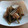 クック75ML0P☆'s cooksnap of when they made ふきと厚揚げのさっと煮.