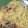 miukozue's cooksnap of when they made きのこのクリームパスタ.