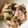 クックG5DSWD☆'s cooksnap of when they made 鮭の簡単ちゃんちゃん焼き.