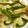 ＊まりりん＊＊'s cooksnap of when they made じゃがいもとベーコンが主役のバター炒め.