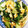 tsuyochan's cooksnap of when they made ♪えびとほうれん草とチンゲン菜炒め♪.