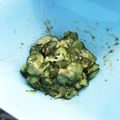 あすキッチン's cooksnap of when they made 箸休めにどーぞ❤️ キウリの胡麻味噌和え.