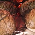 Kokopo36's cooksnap of when they made ホットケーキミックスで簡単メロンパン♪.