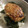ディナーカレー's cooksnap of when they made 新タマネギの鶏つくね丼.